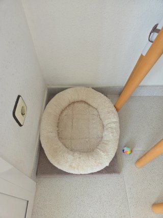 Cama Redonda para Mascotas