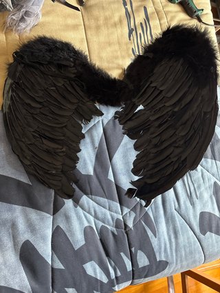 Alas Negras de Plumas