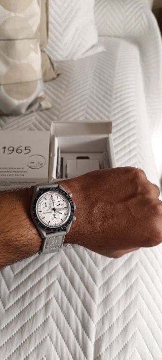 Reloj Swatch Bioceramic MoonSwatch