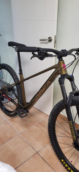 Bicicleta Enduro Orbea Laufey