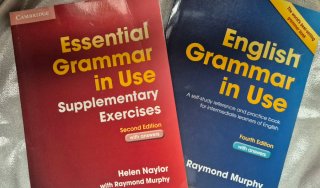 Essential grammar in use and Supplementary ex.