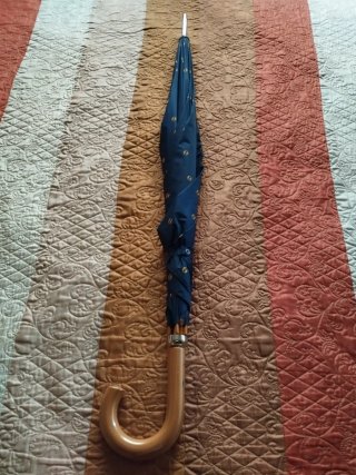 Paraguas Azul con Estampado