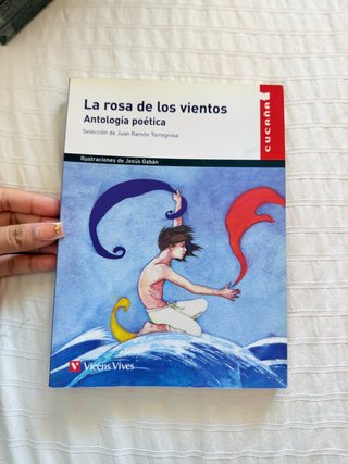 La rosa de los vientos