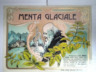 Etichetta antica Menta Glaciale C. Belloni Milano