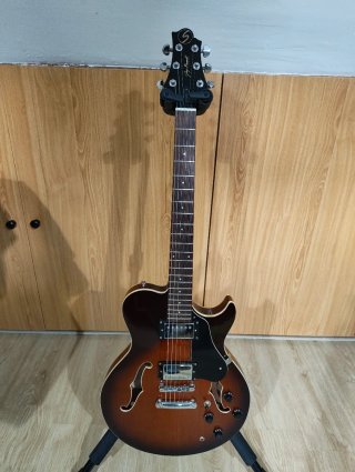Guitarra Eléctrica Samich Royale RL1 Greg Bennett