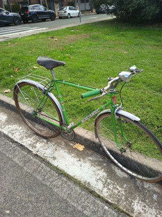 Bicicleta Vintage Verde