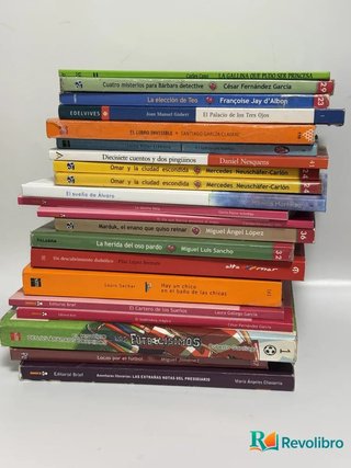 Lote de 21 libros infantiles - Varios autores