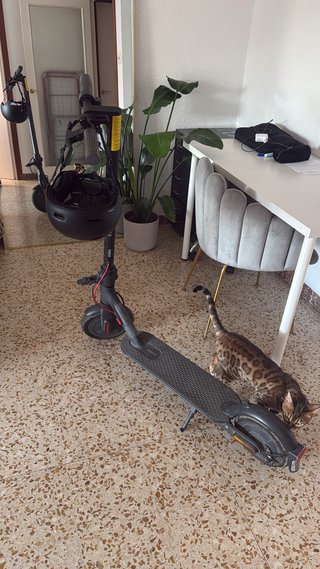 Patinete Eléctrico Xiaomi