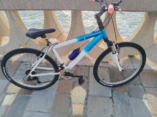 Bicicleta de Montaña Azul y Blanca