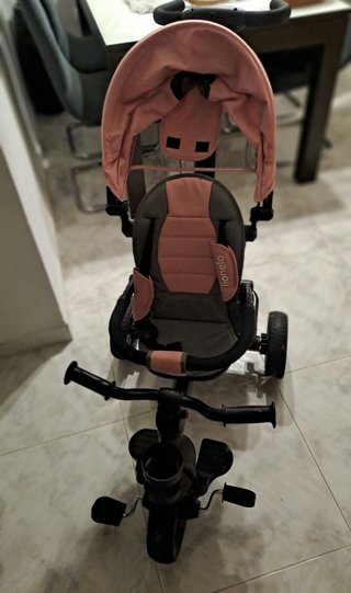 Triciclo Infantil Lionelo Rosa