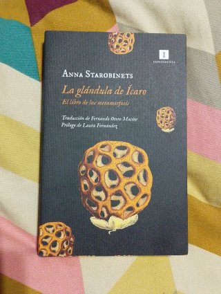 La glándula de Ícaro: el libro de las metamorfosis