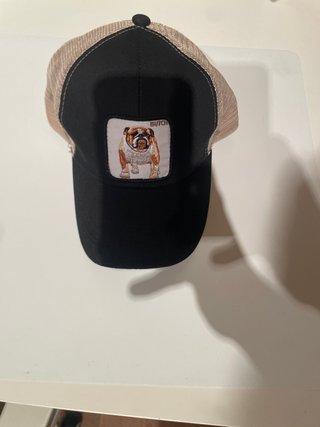 Gorra con parche de bulldog nueva