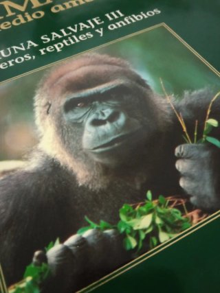 Enciclopedia El Mundo de los Animales