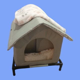 Caseta para Gato