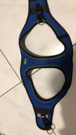 Pettorina per cani Hunter blu