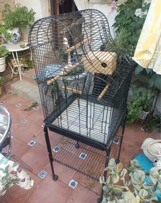 2 Jaulas para Pájaros con Soporte