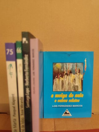 Lote lecturas escolares (ESO e BACH) en galego