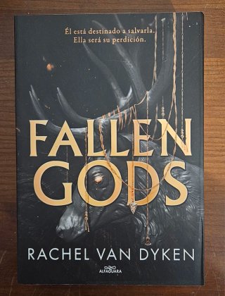 Fallen Gods - RACHEL VAN DYKEN