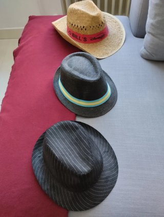 Lote de 3 sombreros variados