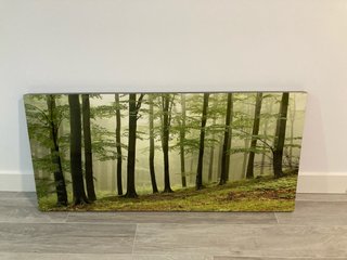 Cuadro de Paisaje Bosque