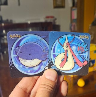 2 Flip Fix Pokémon 2005