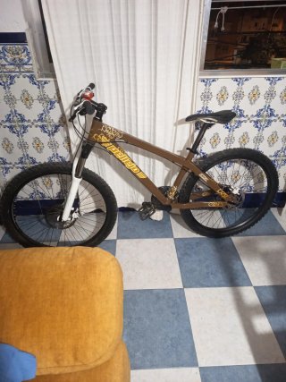 Bicicleta de Montaña Marrón