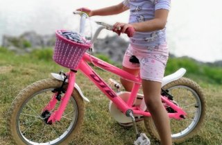 Bicicleta Infantil Rosa