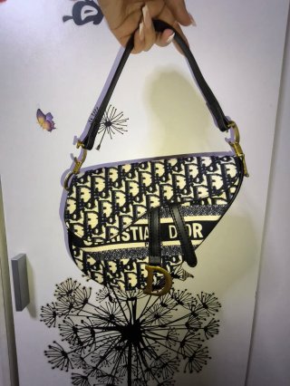 Bolso Dior Saddle