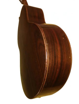 Guitarra Flamenca Camps Palo Santo ce-800