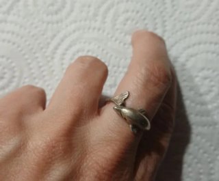 Lote 2 Anillos de Plata