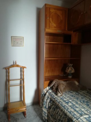 Cama nido  y pupitre