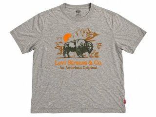 Camiseta Levi's Gris Estampada