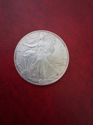 Plata USA 2001.