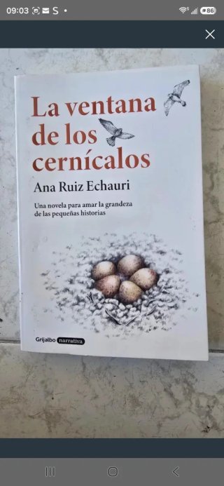 La ventana de los cernícalos
