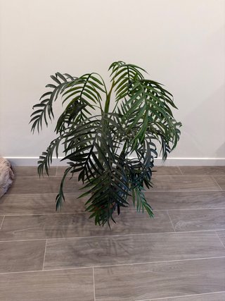 Planta Artificial Decorativa
