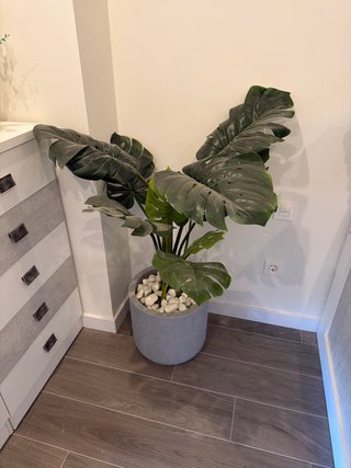 Planta Artificial Monstera con Maceta