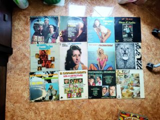 Lote de 27 Discos de Vinilo Variados