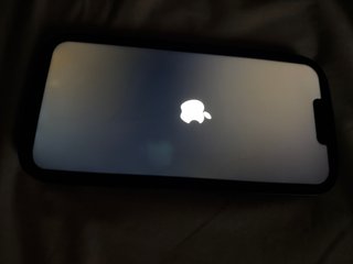 Placa base iPhone 13 Pro Max perfecto estado