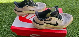 Zapatillas Nike Pegasus 41
