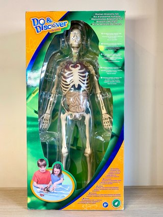 Kit de Anatomía Humana Do & Discover