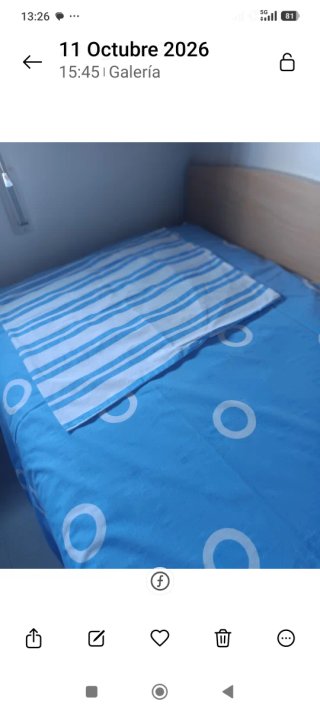Funda Nórdica Ikea 90cm y Funda de Cojín