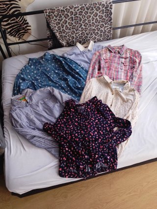 Lote de 6 camisas variadas