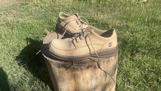 Zapatos Timberland Vintage Beige
