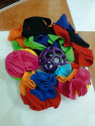 Set de Juegos Olfativos para Perro