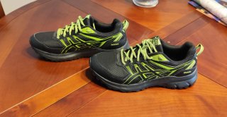 Zapatillas Trail Asics Scout 2