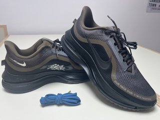 Zapatillas Nike Pegasus Premium 43