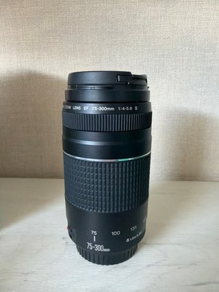 Objetivo Canon EF 75-300mm f/4-5.6 III