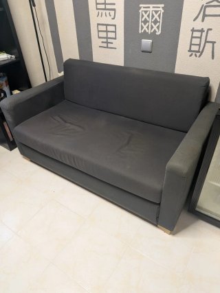 Sofá cama 2 plazas Ikea Solsta