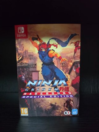 Ninja Gaiden: Ragebound Special Edition (Switch)