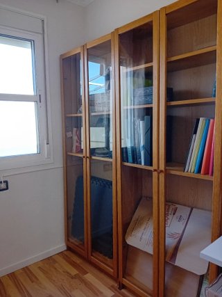 Librería/Estantería Billy con puertas de cristal